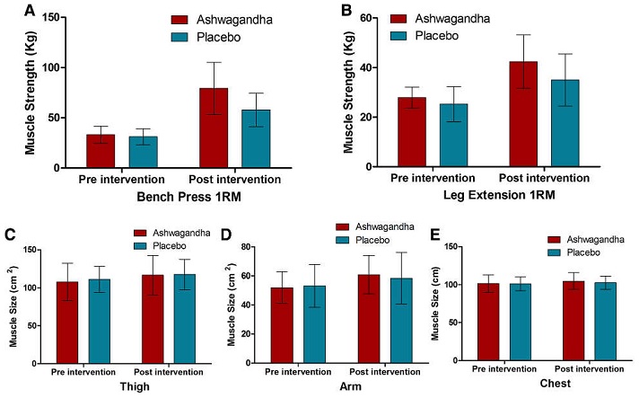 Examining Withania somnifera supplementation on muscle strength